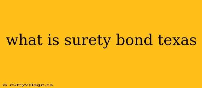 what is surety bond texas