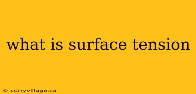what is surface tension