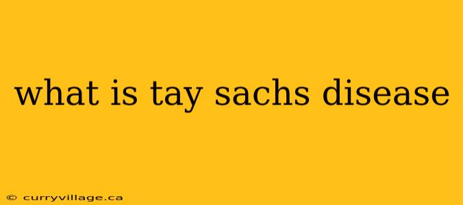 what is tay sachs disease