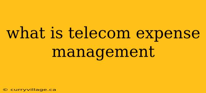 what is telecom expense management