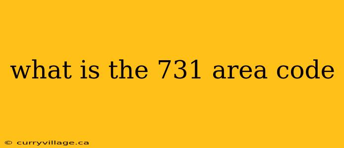 what is the 731 area code