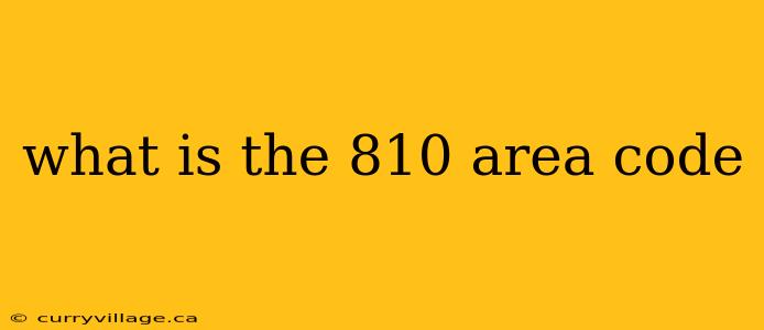 what is the 810 area code