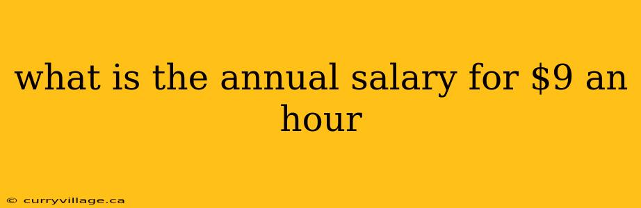 what is the annual salary for $9 an hour