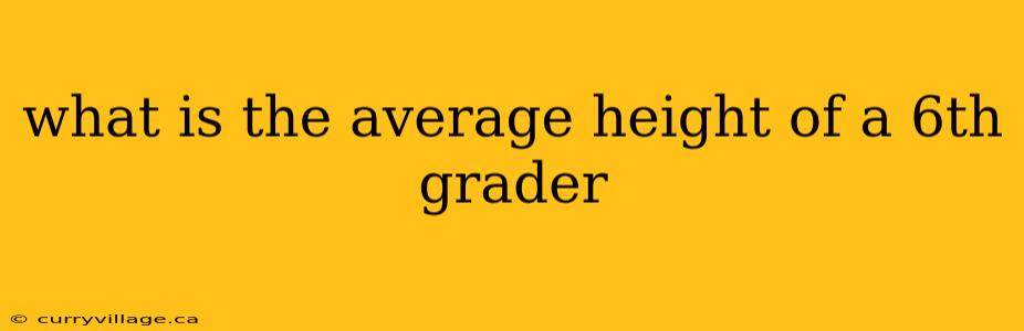 what is the average height of a 6th grader