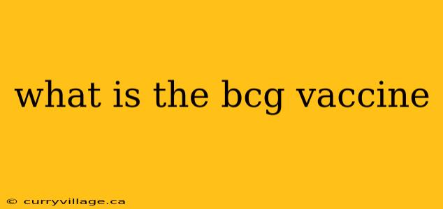 what is the bcg vaccine
