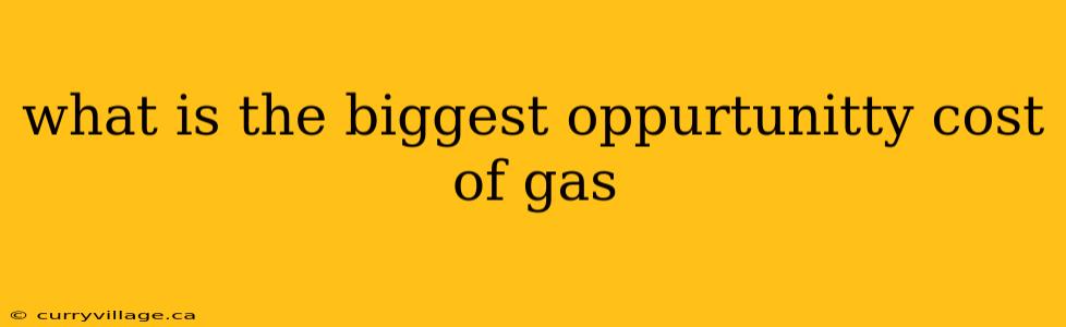 what is the biggest oppurtunitty cost of gas