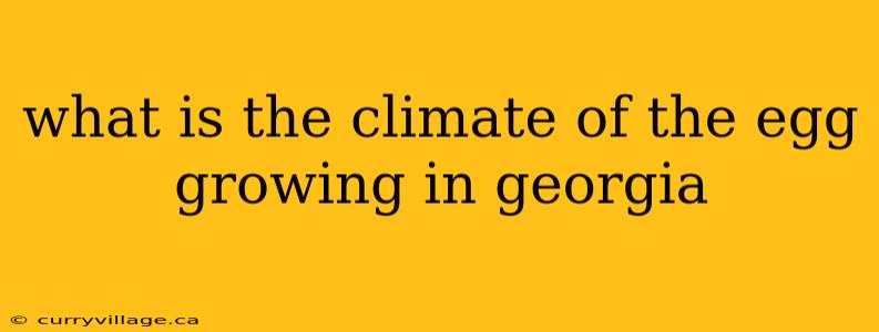 what is the climate of the egg growing in georgia