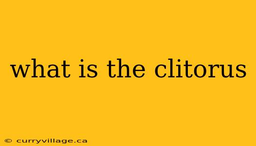 what is the clitorus