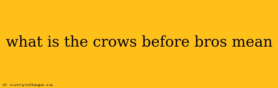what is the crows before bros mean
