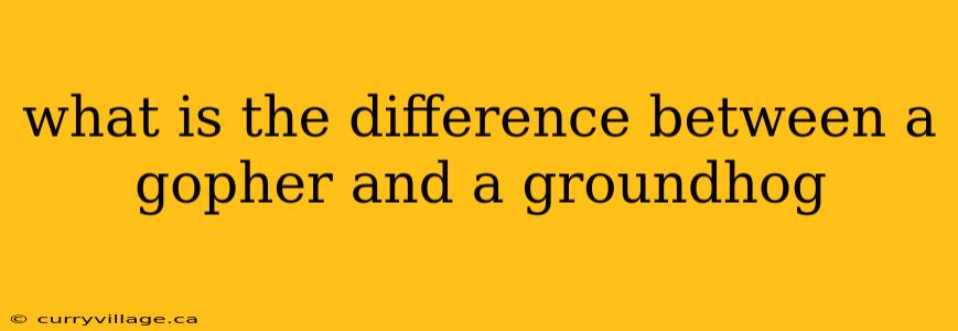 what is the difference between a gopher and a groundhog