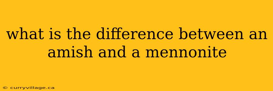 what is the difference between an amish and a mennonite