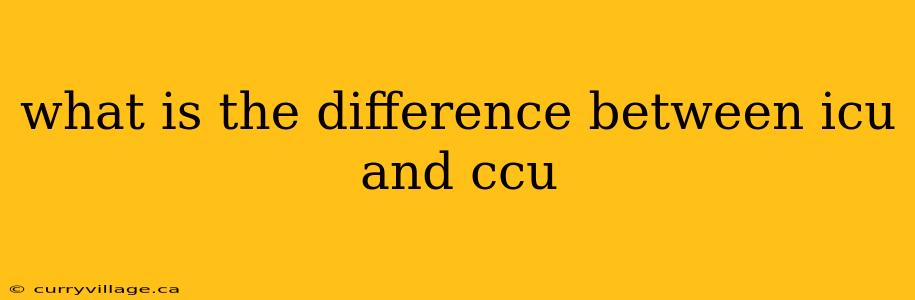 what is the difference between icu and ccu