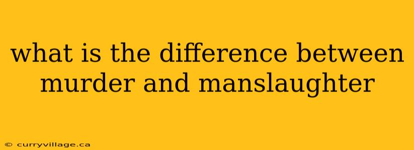 what is the difference between murder and manslaughter