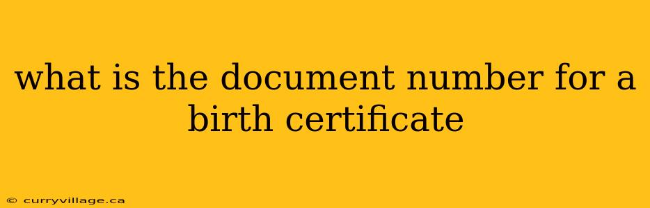 what is the document number for a birth certificate