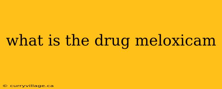 what is the drug meloxicam