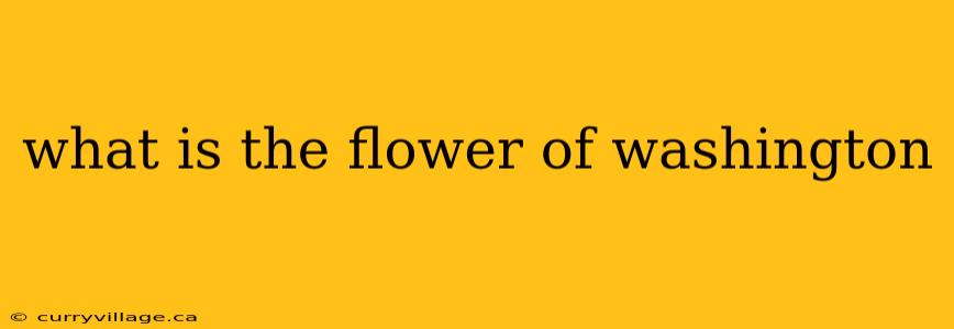 what is the flower of washington