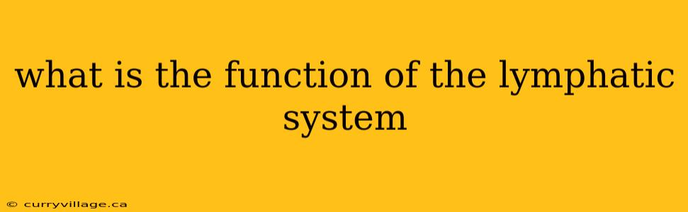 what is the function of the lymphatic system