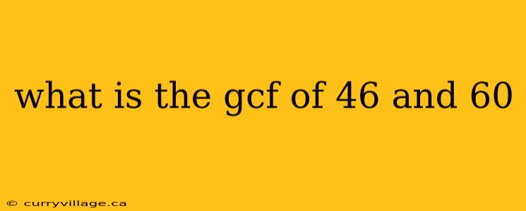 what is the gcf of 46 and 60