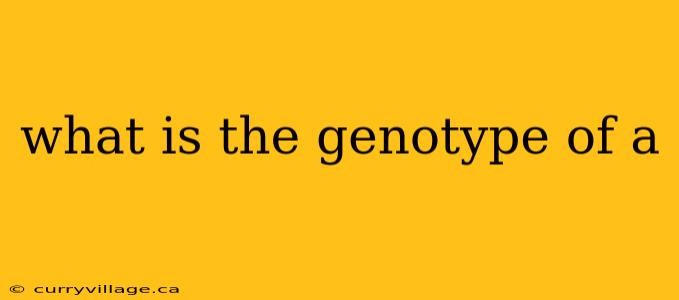 what is the genotype of a