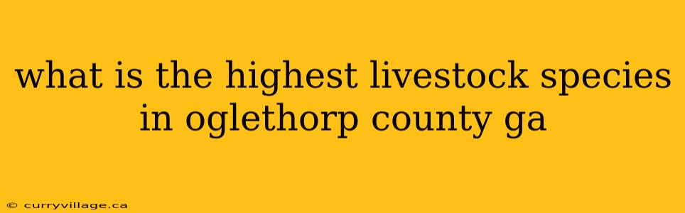 what is the highest livestock species in oglethorp county ga