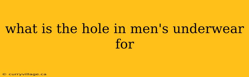 what is the hole in men's underwear for