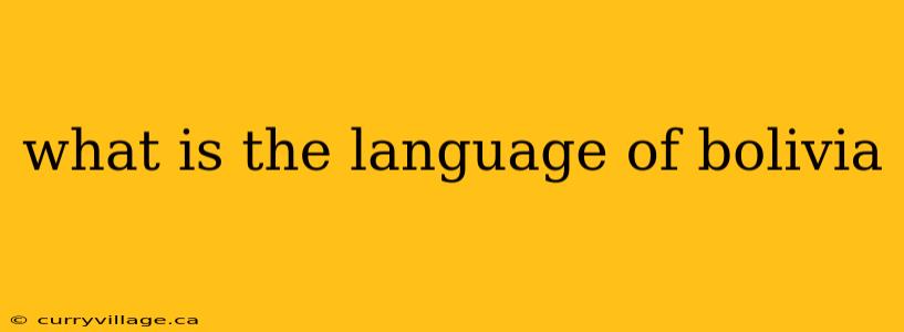 what is the language of bolivia