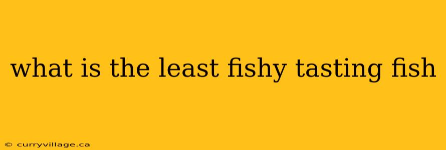 what is the least fishy tasting fish