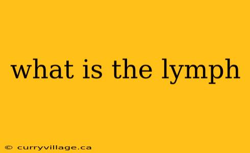 what is the lymph