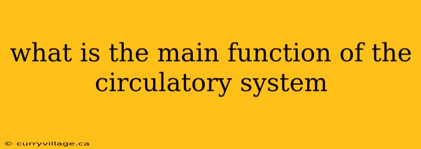 what is the main function of the circulatory system