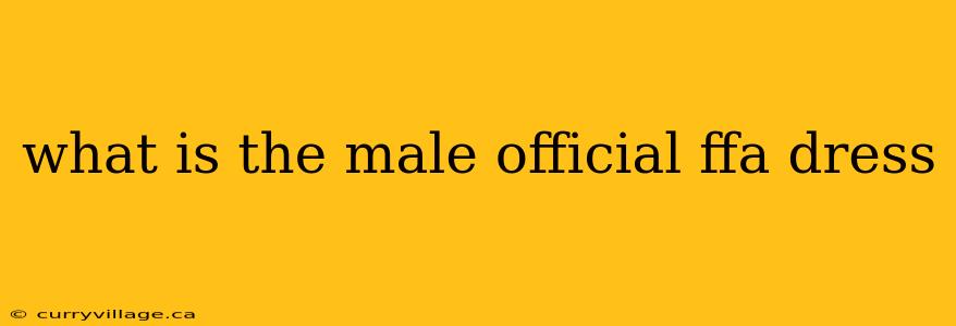 what is the male official ffa dress