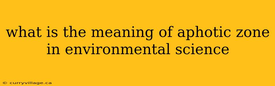 what is the meaning of aphotic zone in environmental science