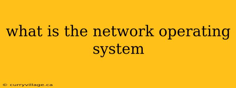 what is the network operating system