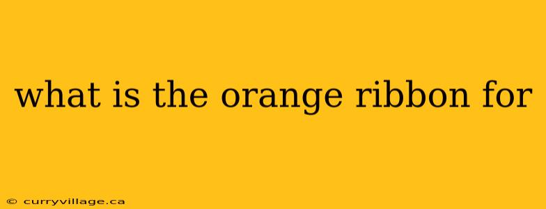 what is the orange ribbon for
