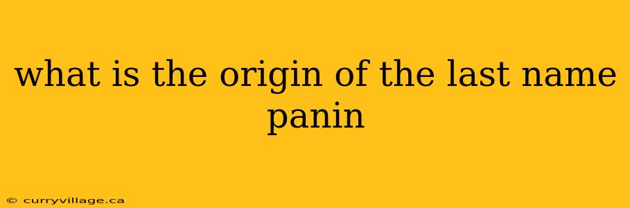 what is the origin of the last name panin