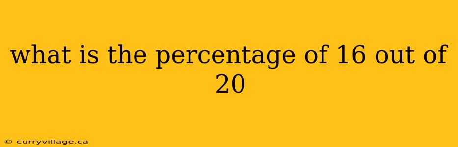 what is the percentage of 16 out of 20