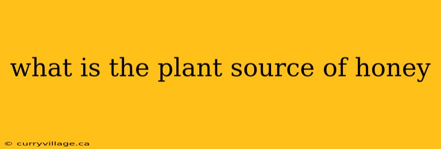 what is the plant source of honey