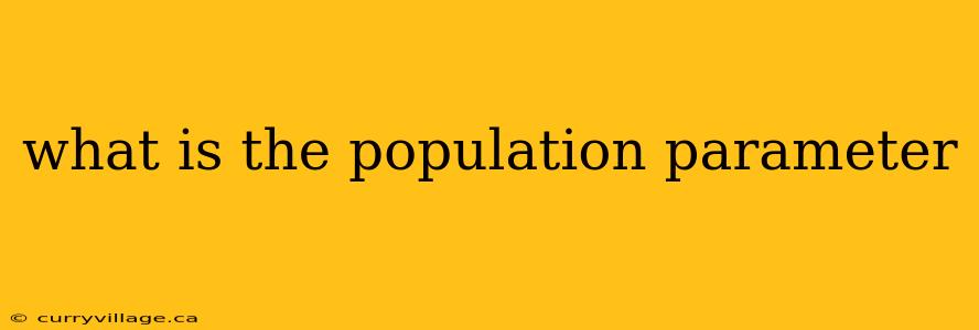 what is the population parameter