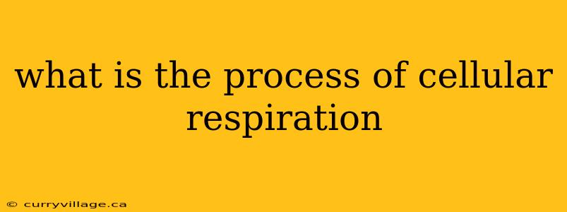 what is the process of cellular respiration