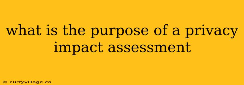 what is the purpose of a privacy impact assessment