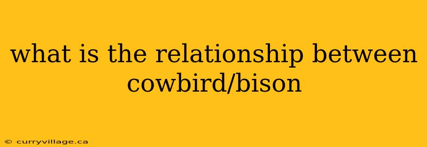 what is the relationship between cowbird/bison