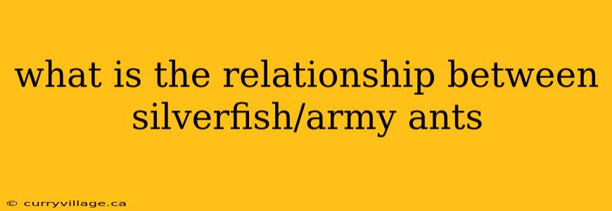what is the relationship between silverfish/army ants