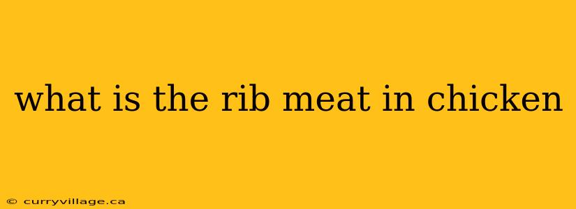 what is the rib meat in chicken