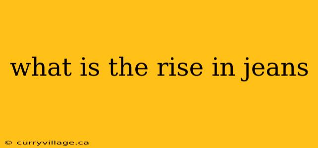what is the rise in jeans