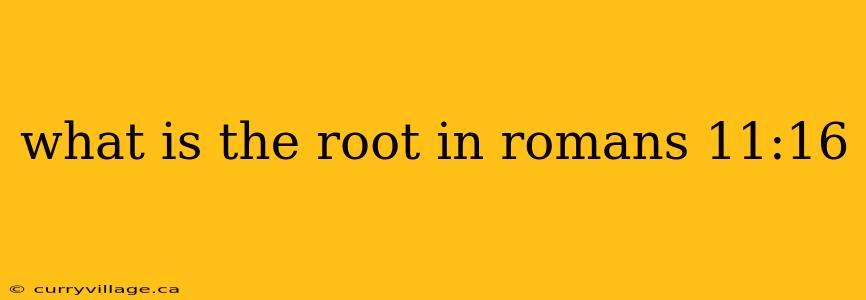what is the root in romans 11:16