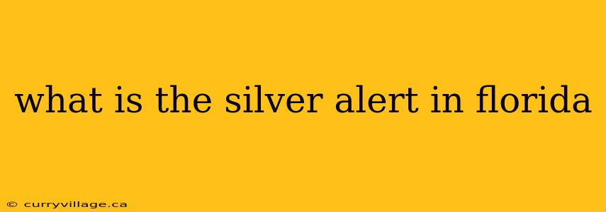 what is the silver alert in florida