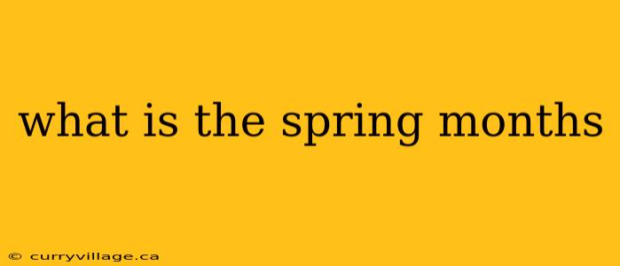 what is the spring months