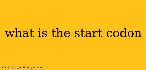 what is the start codon