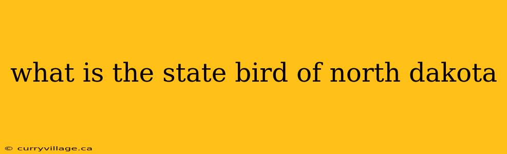what is the state bird of north dakota