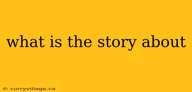 what is the story about