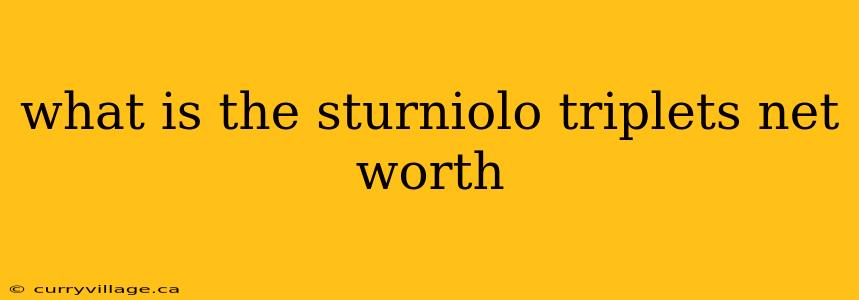 what is the sturniolo triplets net worth